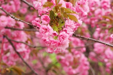 上海虹口区线下个人借款平台一站式服务，轻松解决资金难题