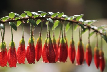 上海虹口区零用贷短借：轻松解决临时资金需求