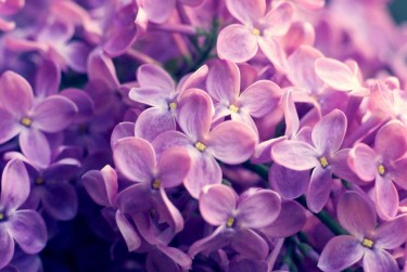 上海虹口区企业急用钱贷款攻略：快速融资解燃眉之急